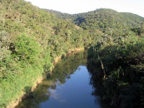 Exemplo de mata ciliar preservada no alto curso do rio Ribeira